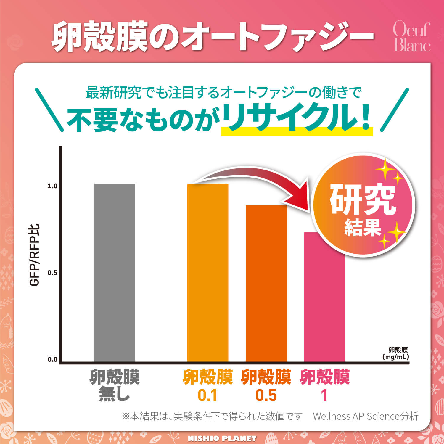 ウフブラン 60粒入り